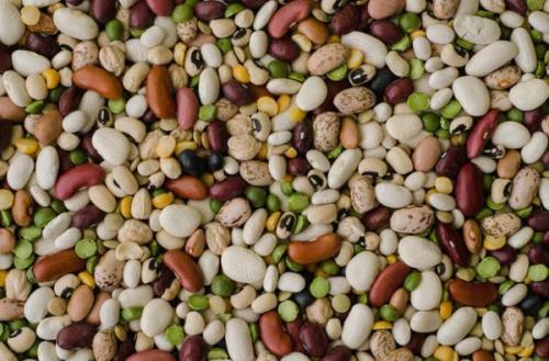 吃什么豆子容易放屁多,吃豆类放屁多的人不适合吃什么