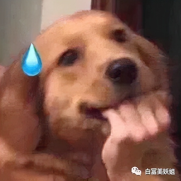 奚梦瑶豪门儿媳照片,赌王儿媳奚梦瑶