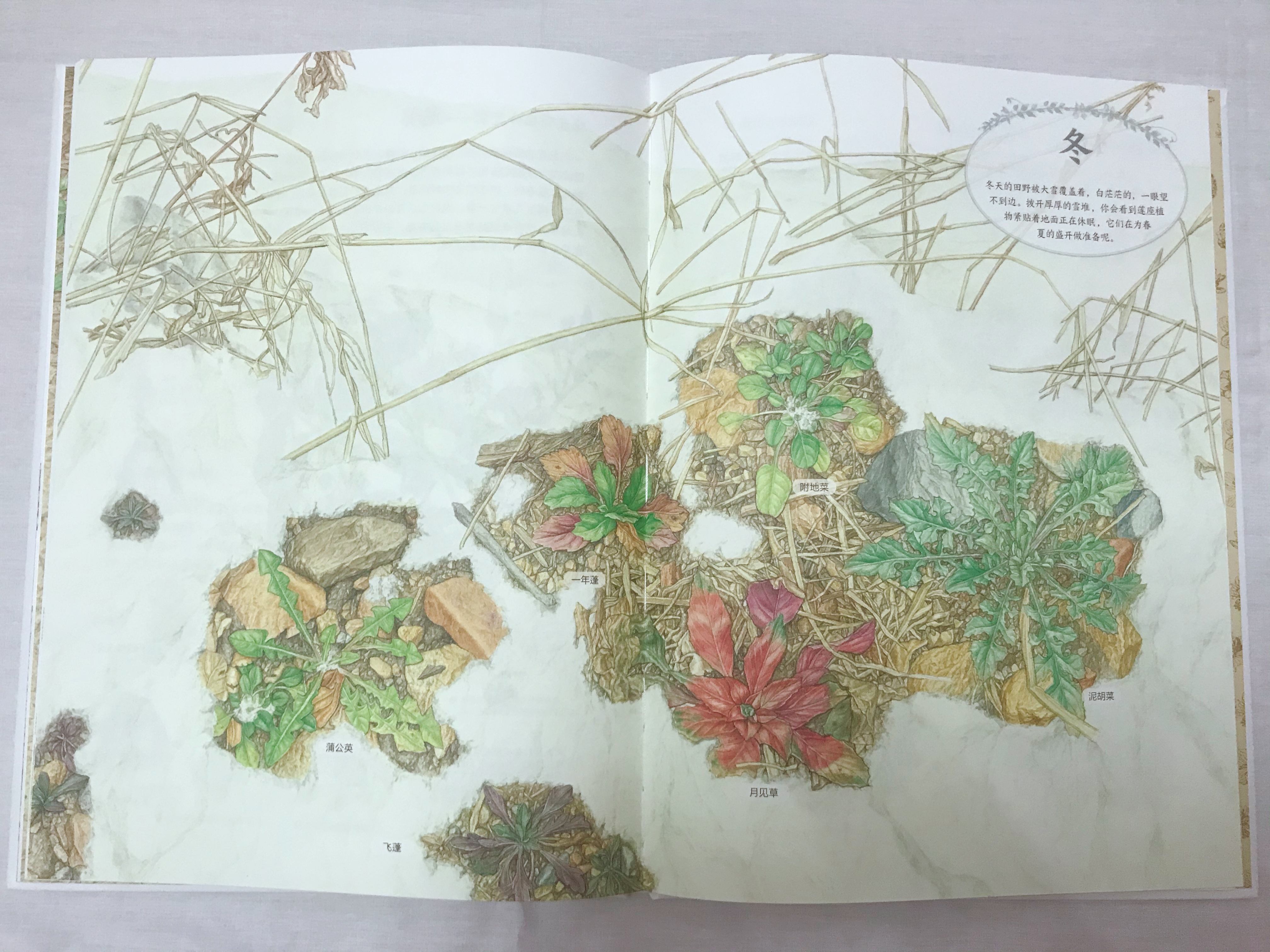 423读书节诚意推荐,423书香节