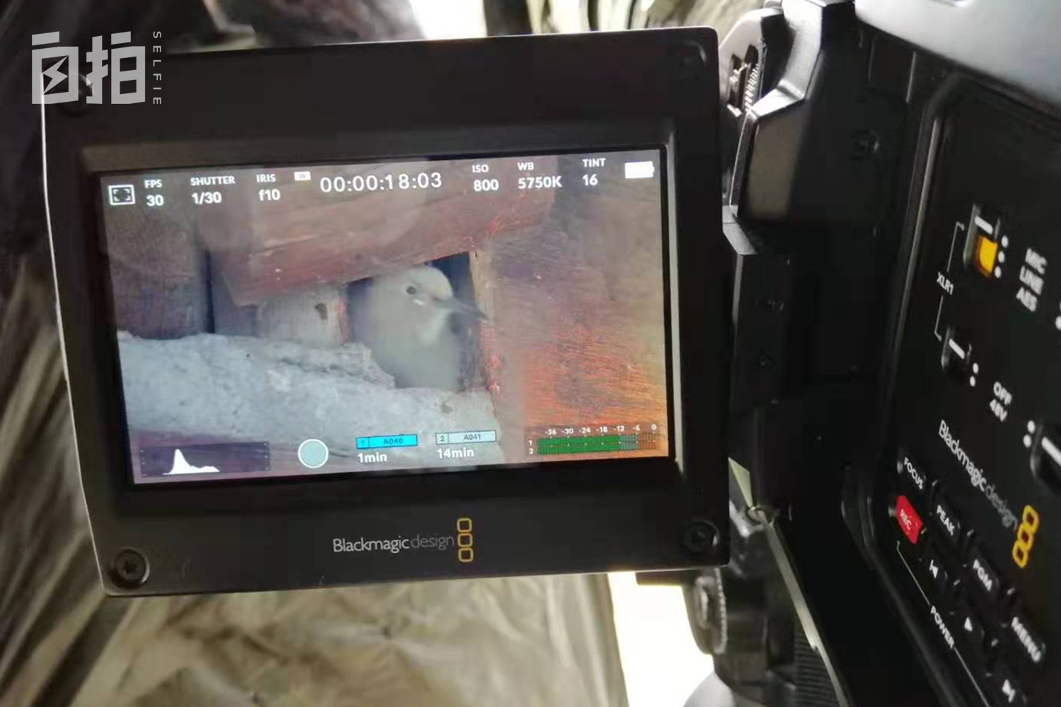 我，东北开过砖厂，巴黎刷过盘子，58岁再转型，从厨师变成摄影师