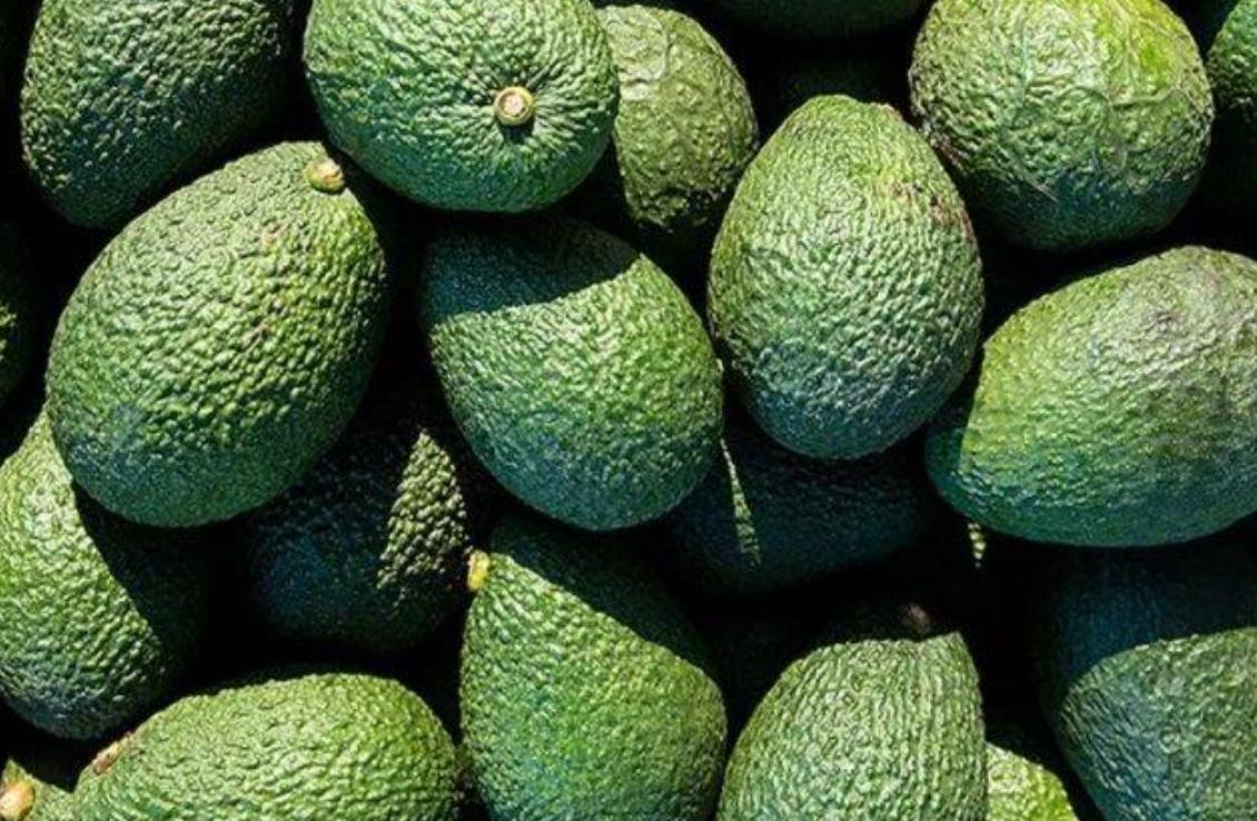 牛油果被炒作起来,牛油果有减肥功效吗