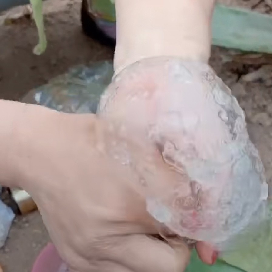 最近最火的芦荟灌肤,抖音芦荟灌肤小气泡