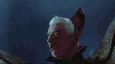 世界最大的蝙蝠,世界上最大的蝙蝠是什么蝙蝠