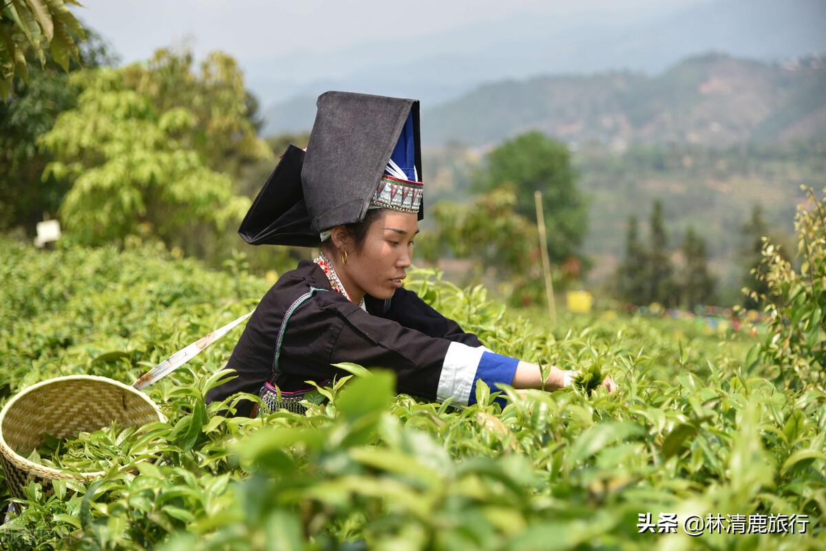 临沧和玉溪哪个更适合养老,云南养老便宜