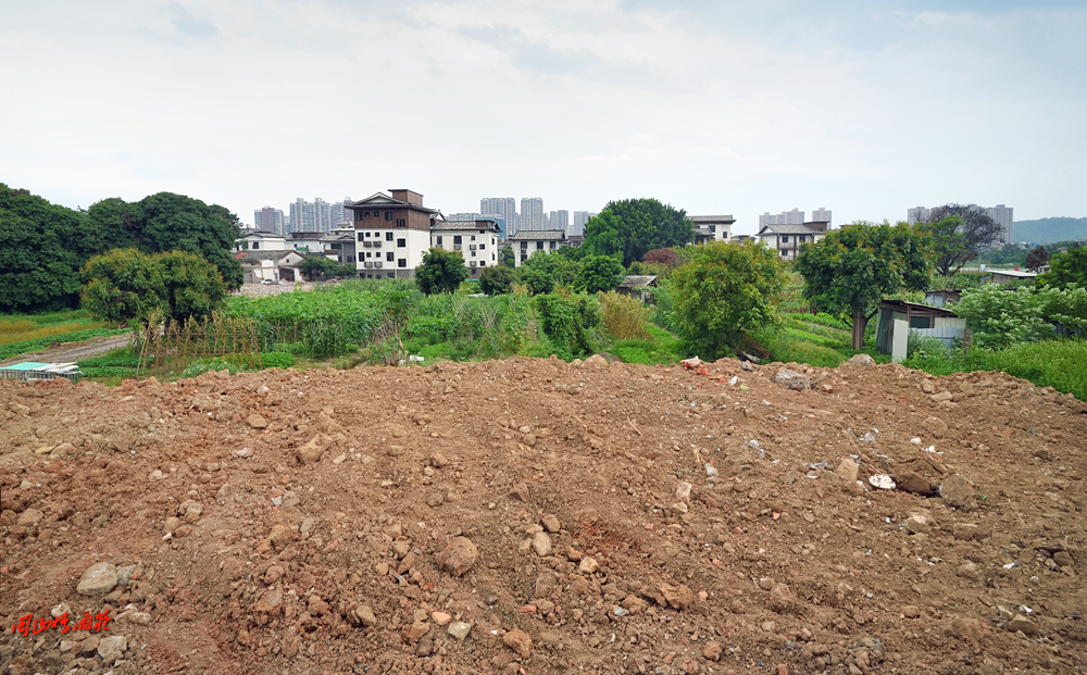 摄影就是记录流逝的时光,摄影捕捉生活的美好瞬间