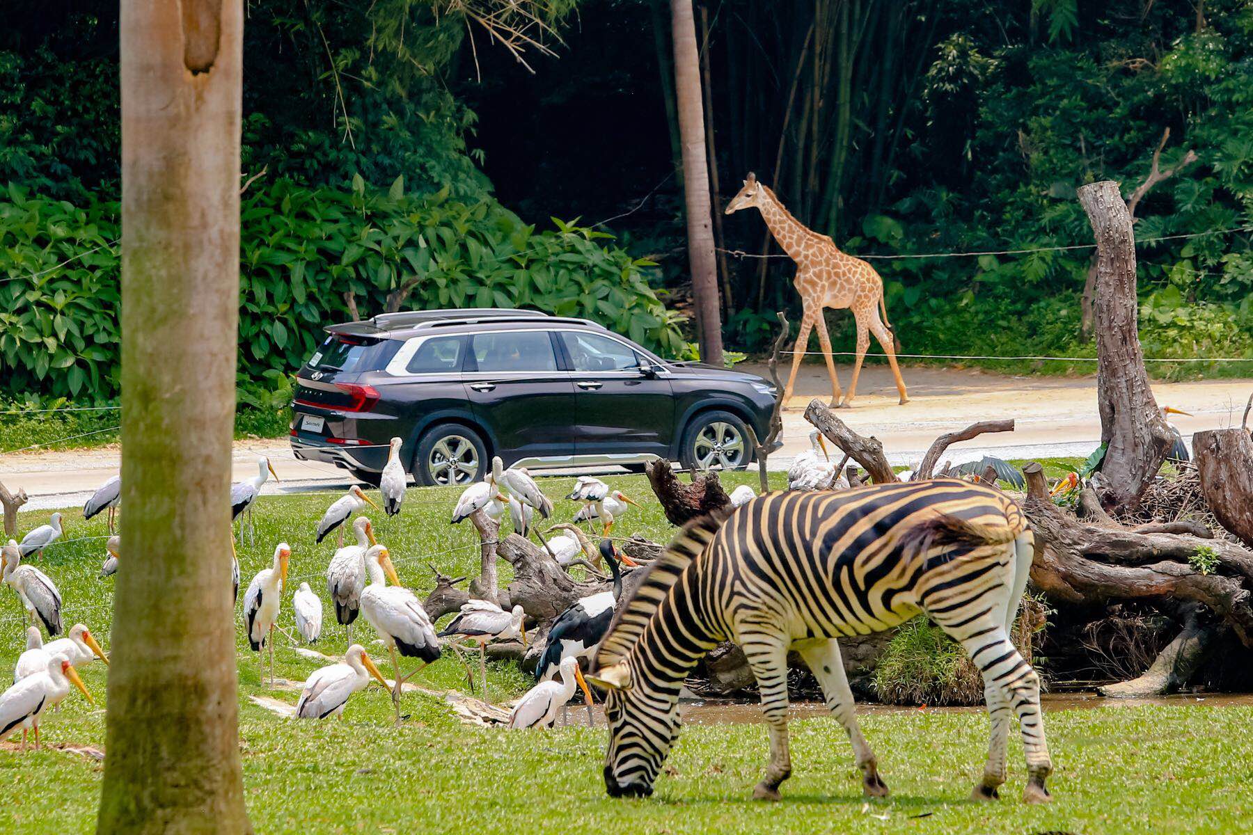 第四代胜达是中大型suv,第四代胜达空间表现怎么样