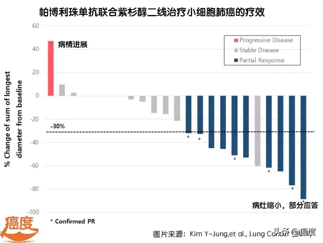 pd-1能治疗小细胞肺癌吗,小细胞肺癌指南2023化疗方案