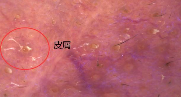 多芬洁面泡泡|实测