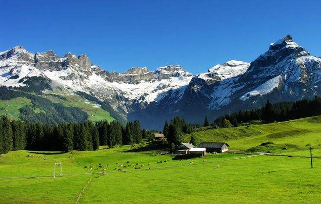 怀融日历,奥地利施华洛世奇swarovski水晶