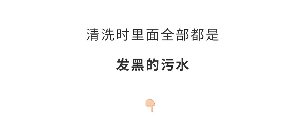 热水器水流出有虫子怎么办,饮水机水管里有小白虫