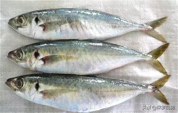 海鲜大荟萃,常见贝壳类海鲜