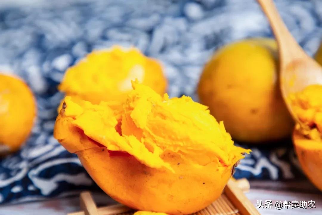 闀垮湪鏍戜笂鐨勭孩钖浮铔嬫灉,闀垮湪鏍戜笂鐨勯浮铔嬫灉