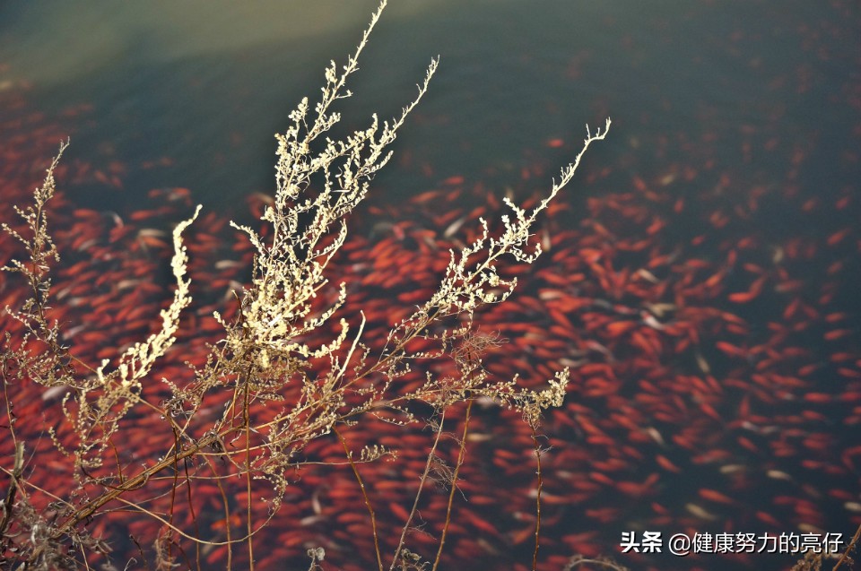 普陀山观音菩萨成道地方,普陀山菩萨修行的传说