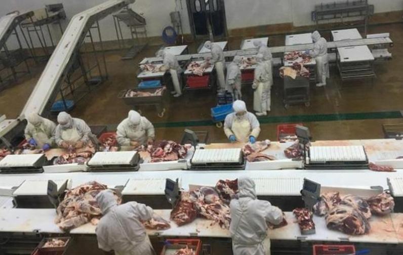 成功推开中国大门!南美一国对华出口5万头肥牛,澳洲再迎痛击