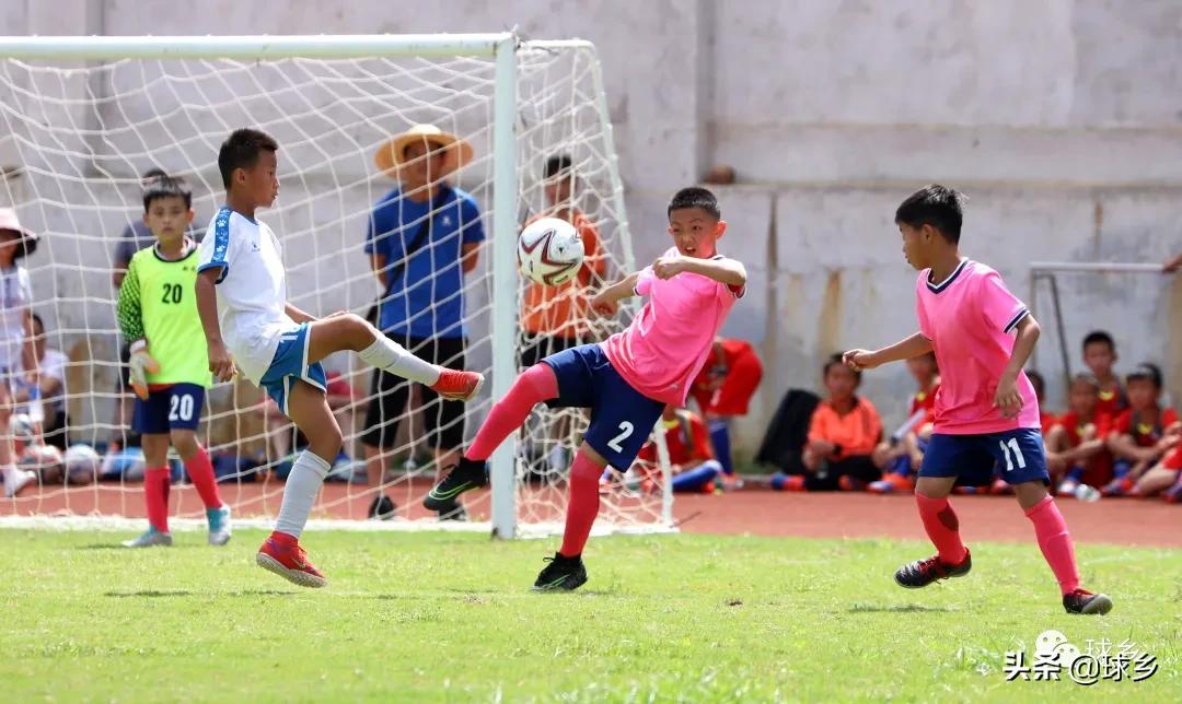 区中小学足球联赛,体教融合杯中学篮球赛