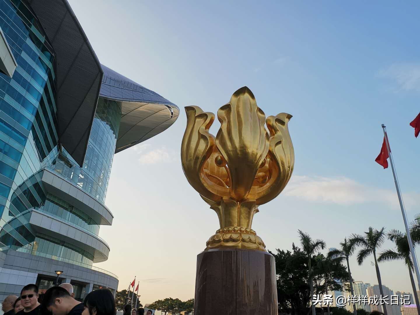 去香港不用跟团了吗,去香港不用网络