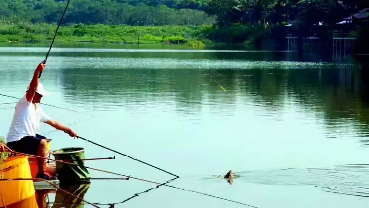 钓友公认十款最好黑坑,不限制钓法的黑坑