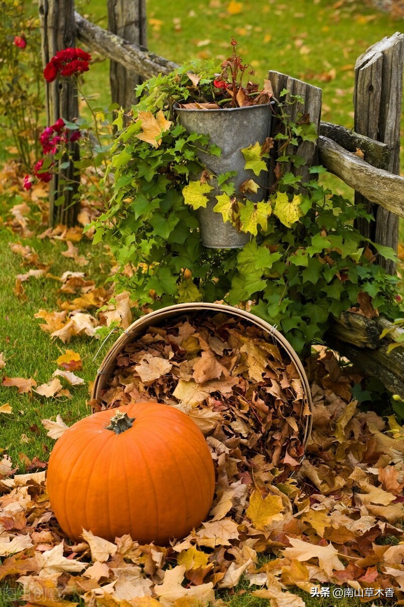 散文秋天优美语段,散文秋天