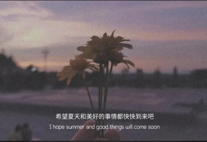 文字控背景图追星,文字控背景图博主推荐