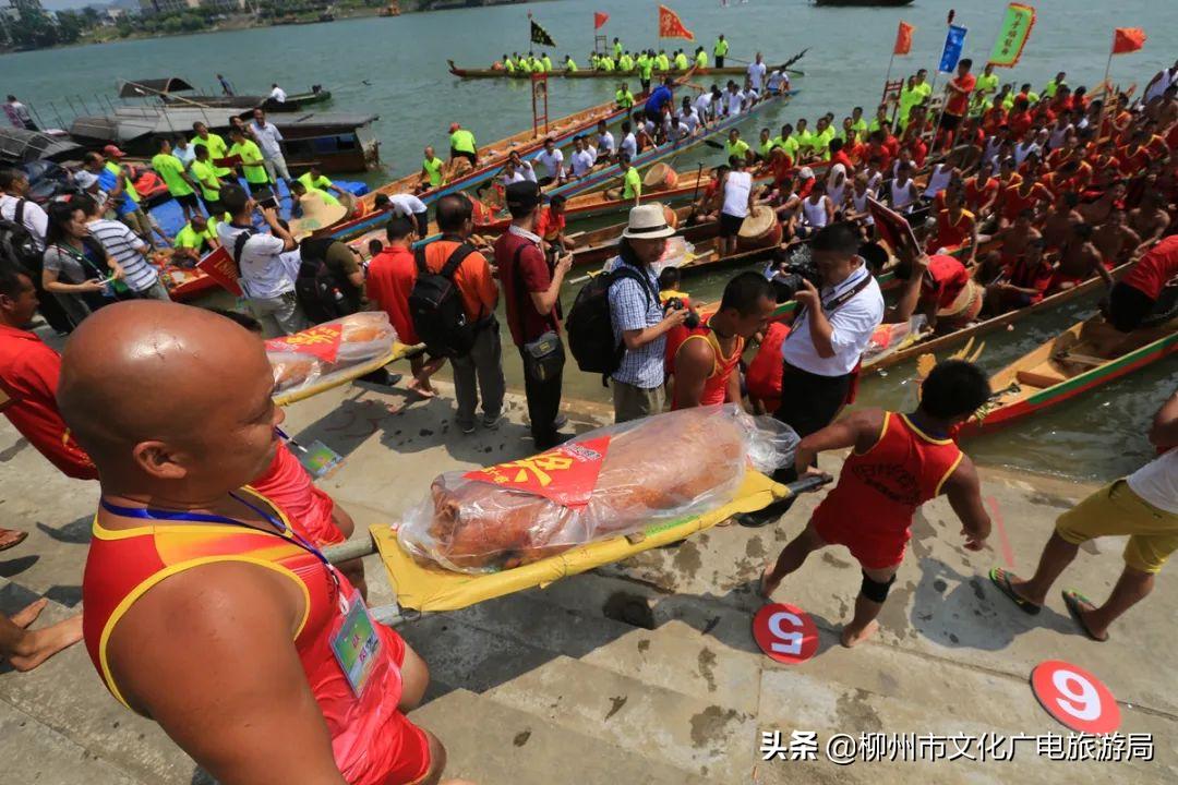 2023年融安龙舟公开赛选场,融安龙舟公开赛直播