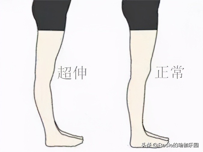 不跑不跳不累10个动作,不跑不跳腿部动作