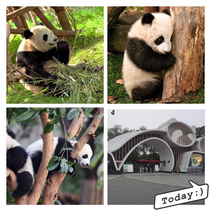 成都逛吃推荐打卡,成都适合逛吃的地方