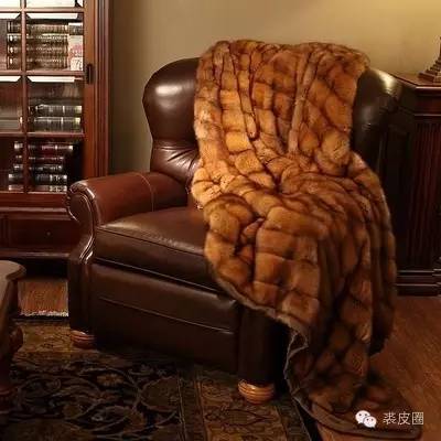 裘中之王野生紫貂,裘中之王是什么意思