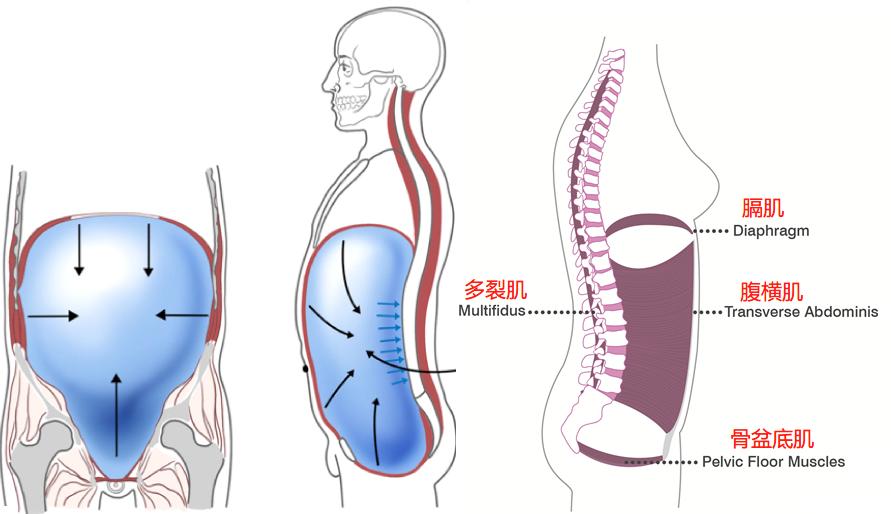 流行束腰,现在流行的束腰