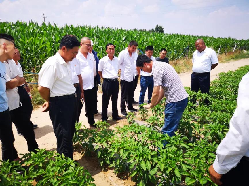 上海庙镇文明实践四帮扶，为脱贫攻坚加速度