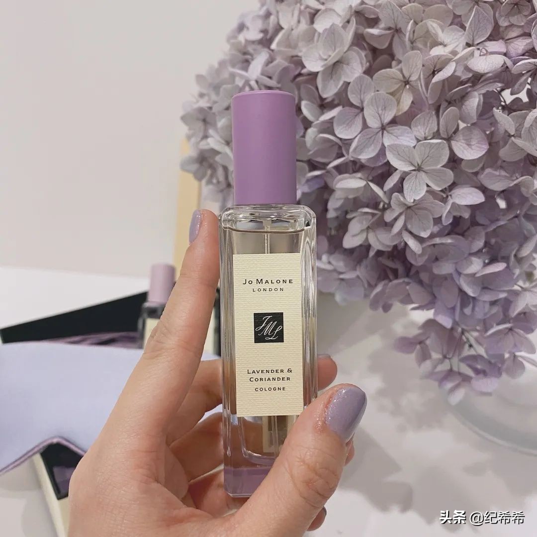 祖马龙薰衣草限定，全智贤同款电饭锅，这些好用真的值得买