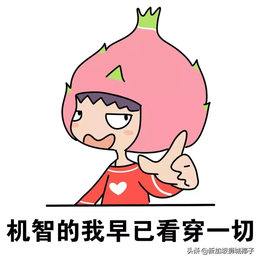 新加坡旅游攻略推荐花园,新加坡花园最新消息