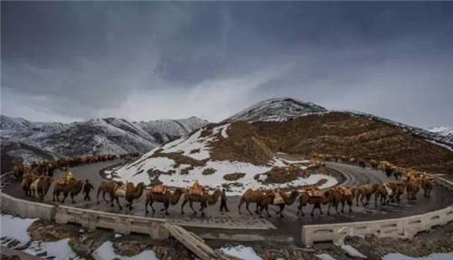 阿大,来一碗熬茶!聊聊青海人喝茶的那些事