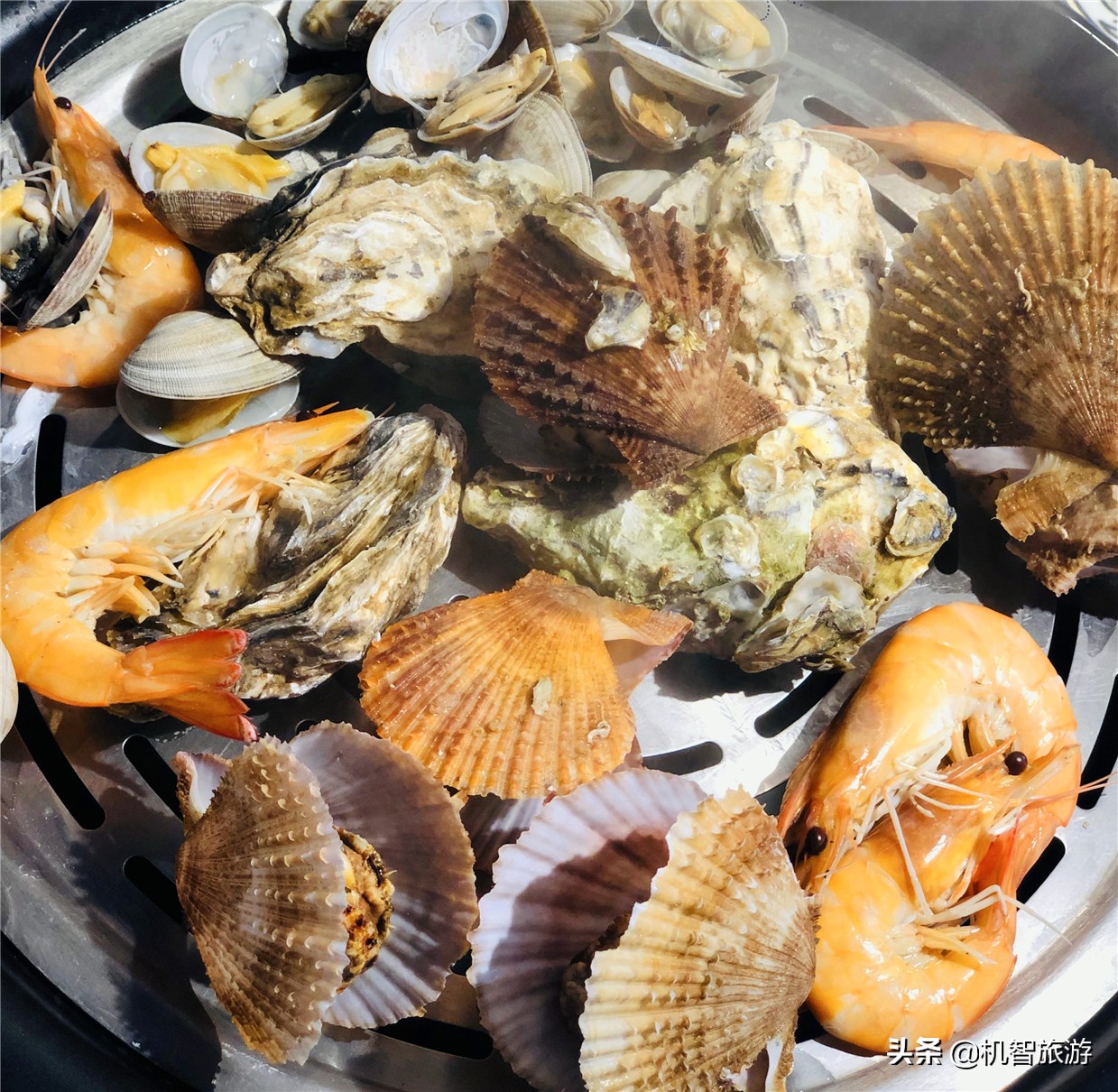 日照吴家台渔家排名前十名,日照吴家台渔家乐海鲜餐厅民宿