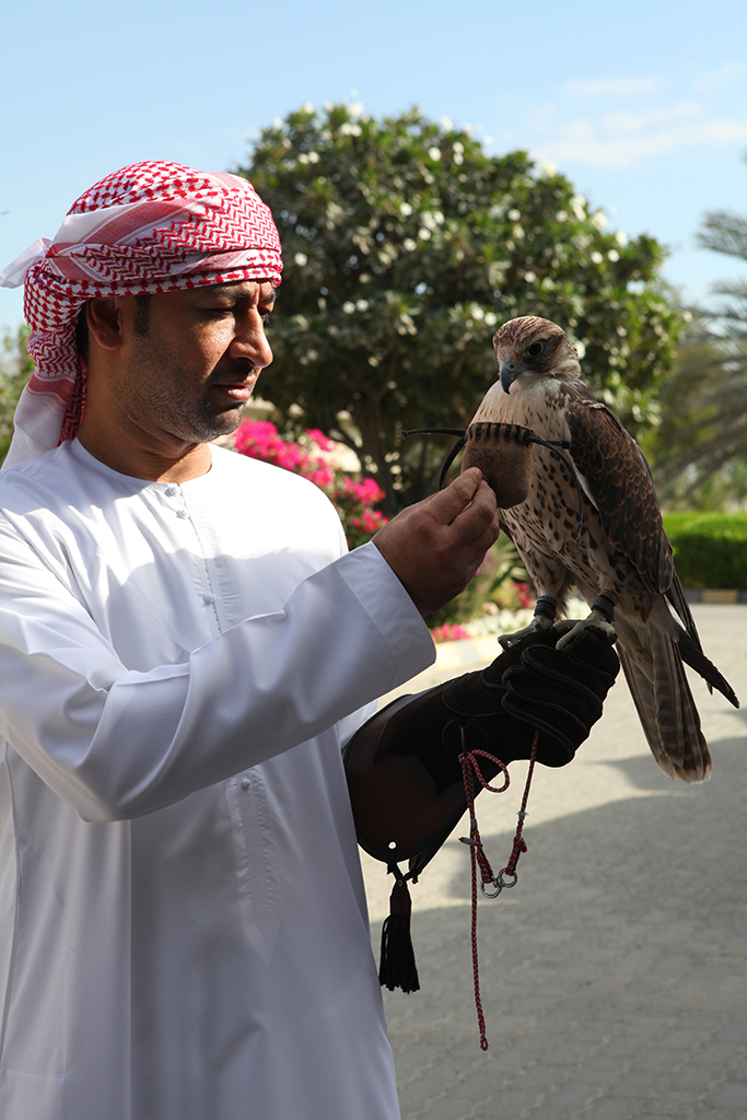 阿布扎比绿洲,阿布扎比土豪出行