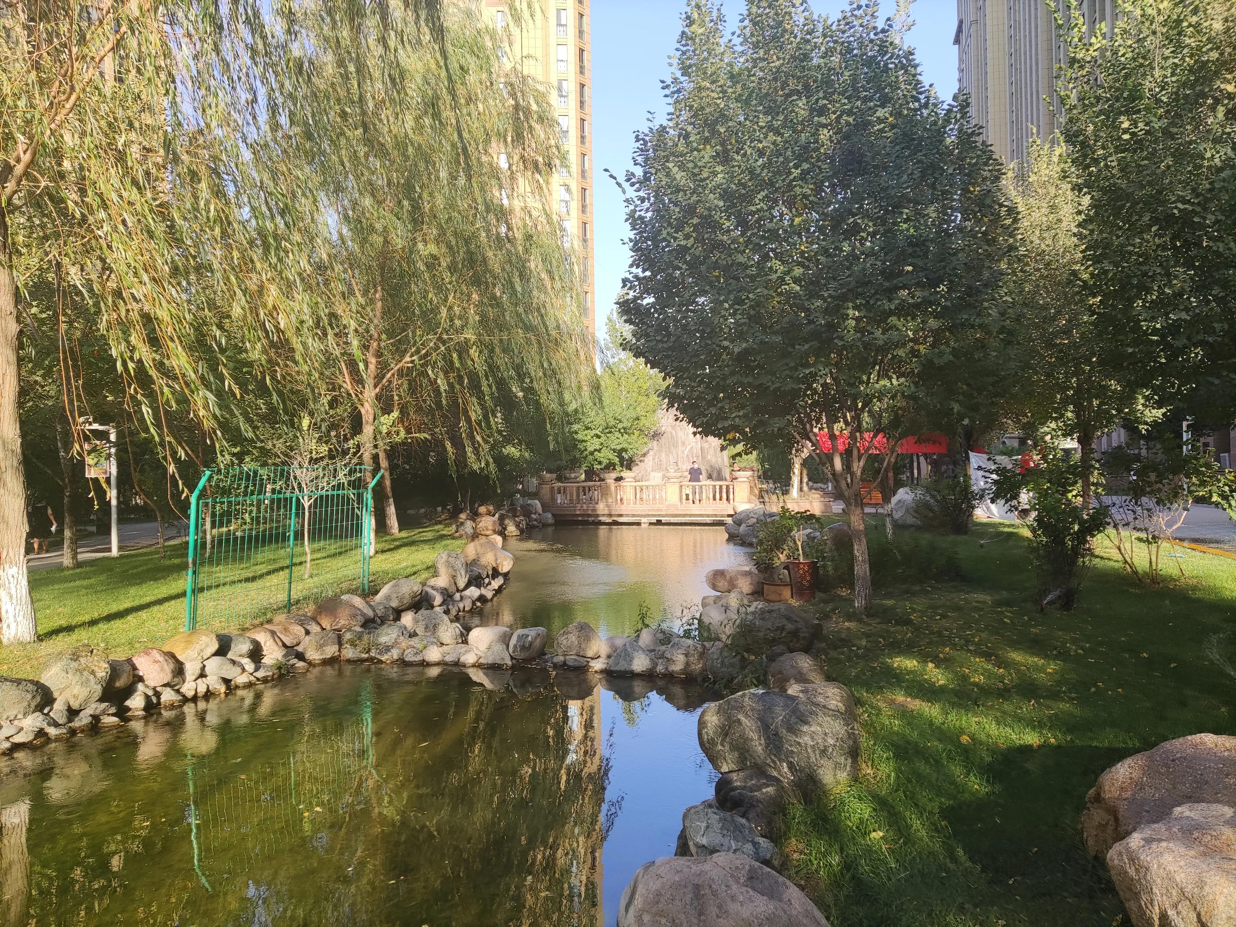 乌鲁木齐绿化最好楼盘,乌鲁木齐市绿化最好的街道视频