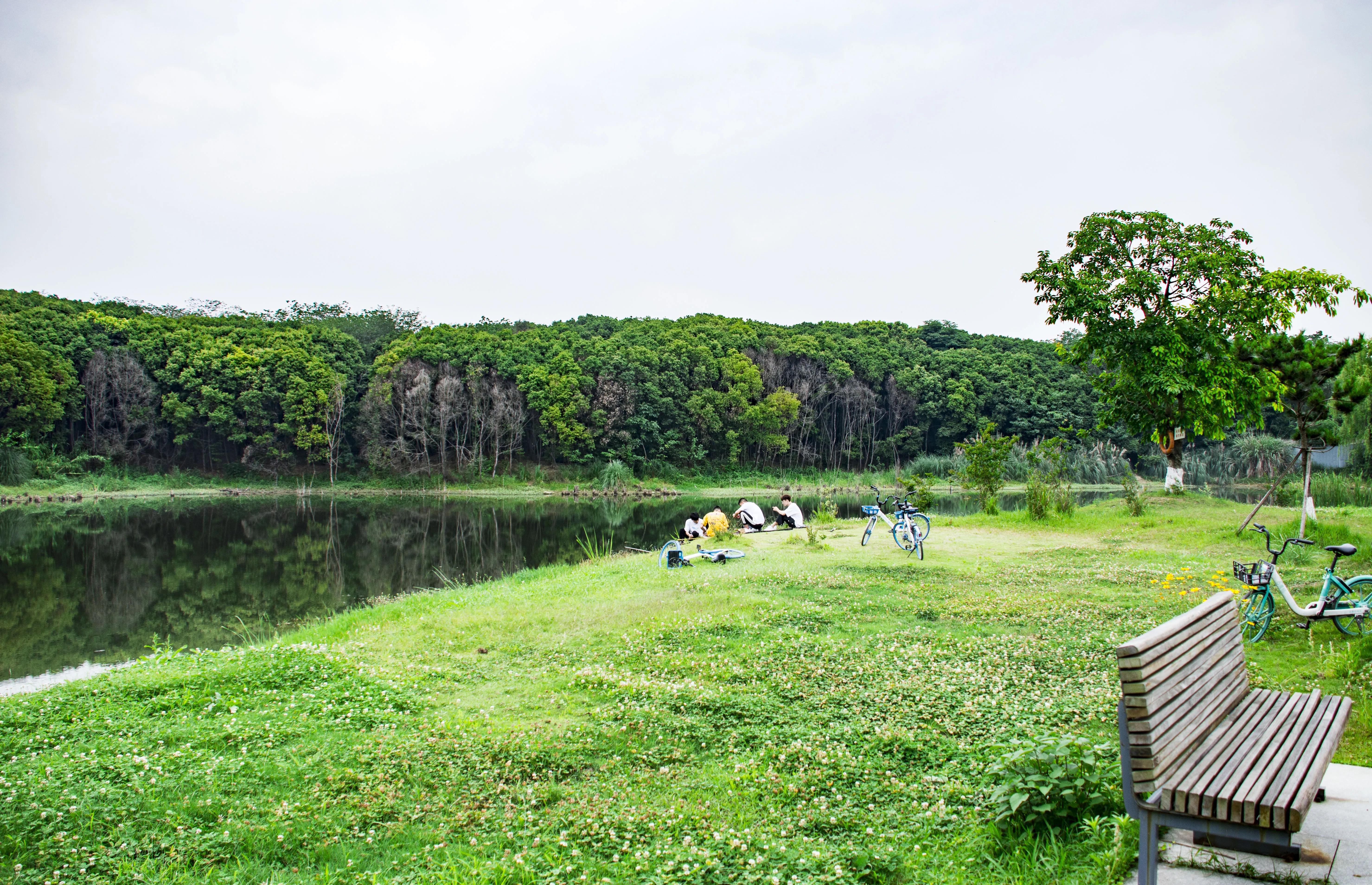 龙泉十陵航拍,龙泉驿区十陵