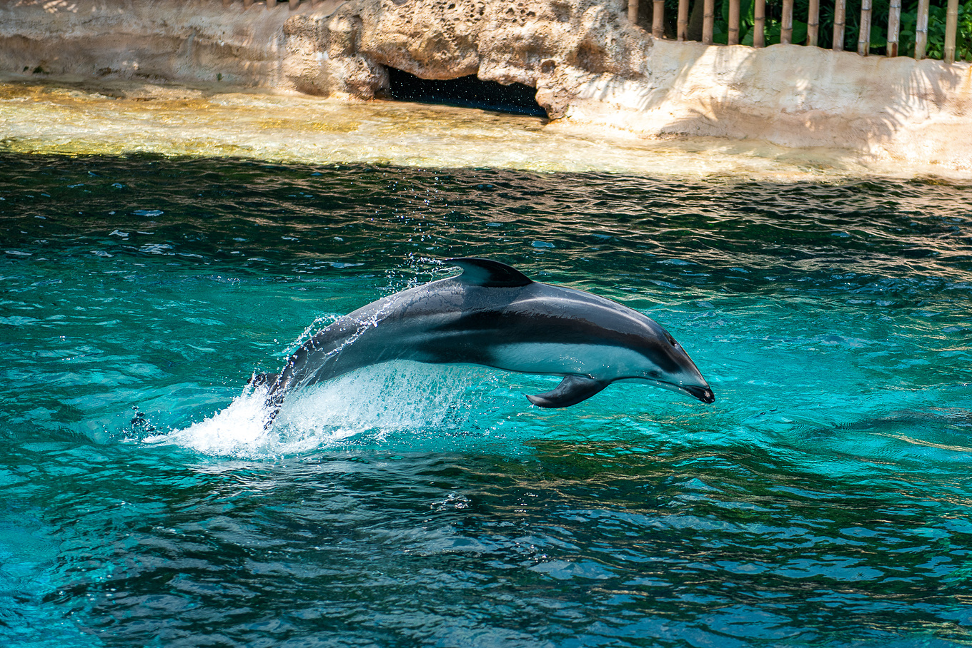 珠海长隆龙秀适合小朋友看吗,珠海长隆海洋王国值得打卡的地方