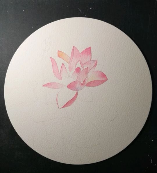 荷花的4种画法,最简单的荷花画法一学就会