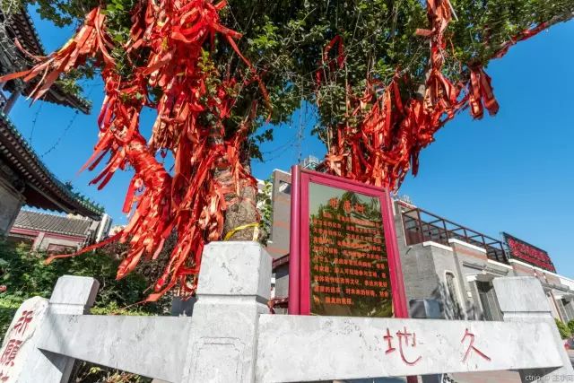 天津带孩子一日游必去景点,天津静海一日游必去景点