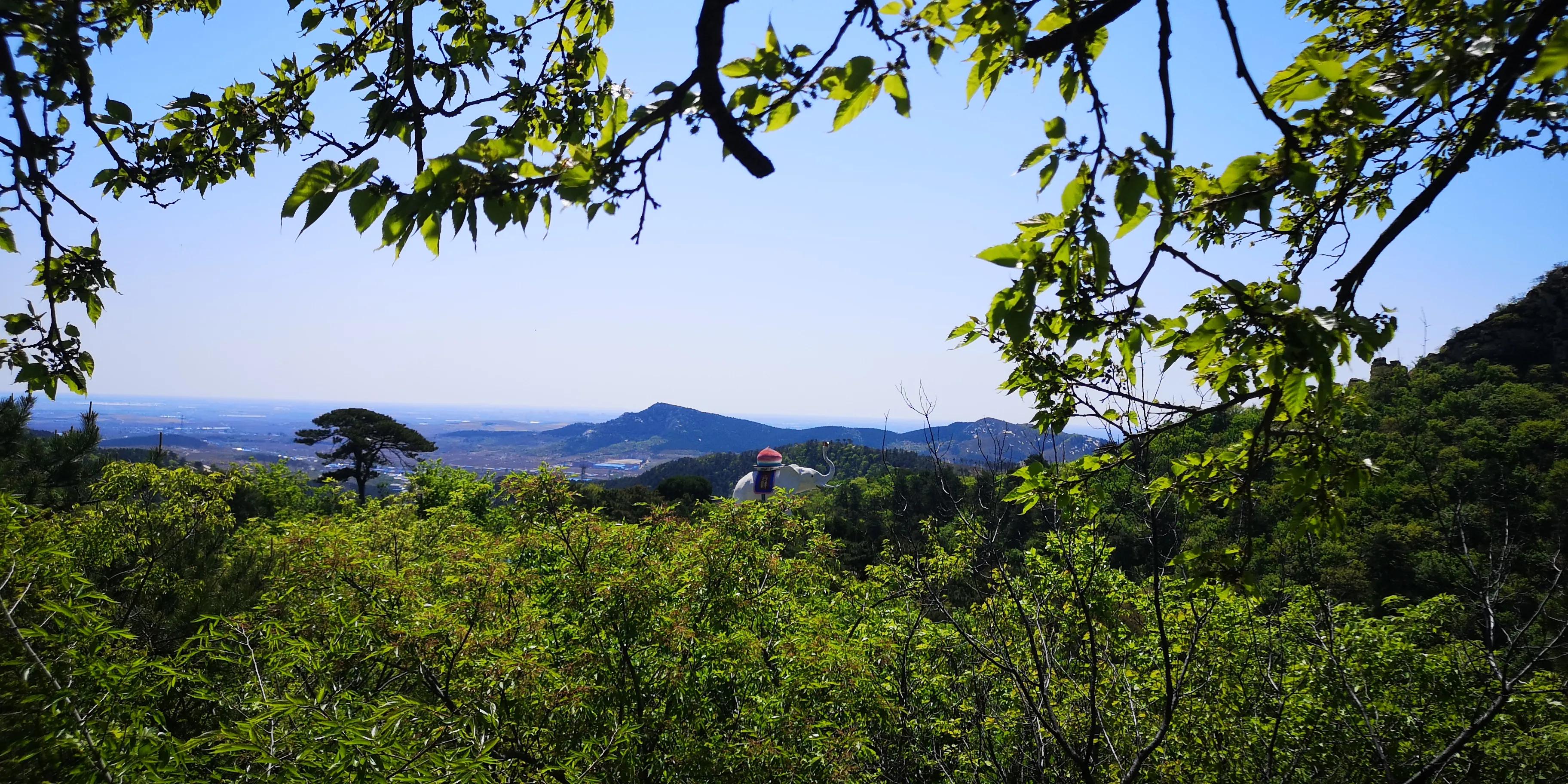 青岩寺风景区歪脖老母,沈阳青岩寺歪脖老母一日游多少钱