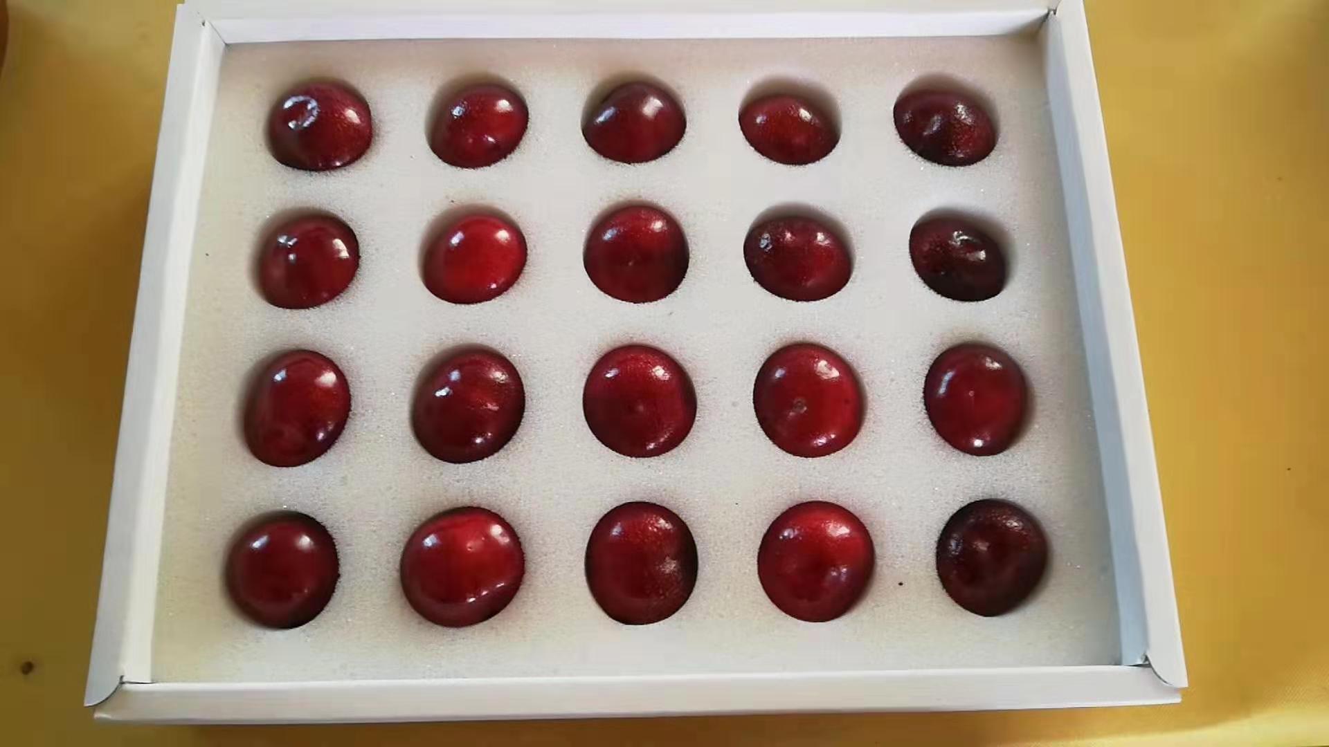 布鲁克斯大樱桃裂果,特大果樱桃裂果