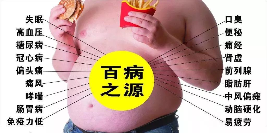 肚子鼓鼓的怎么瘦肚子,肚子大应该减肥还是减脂