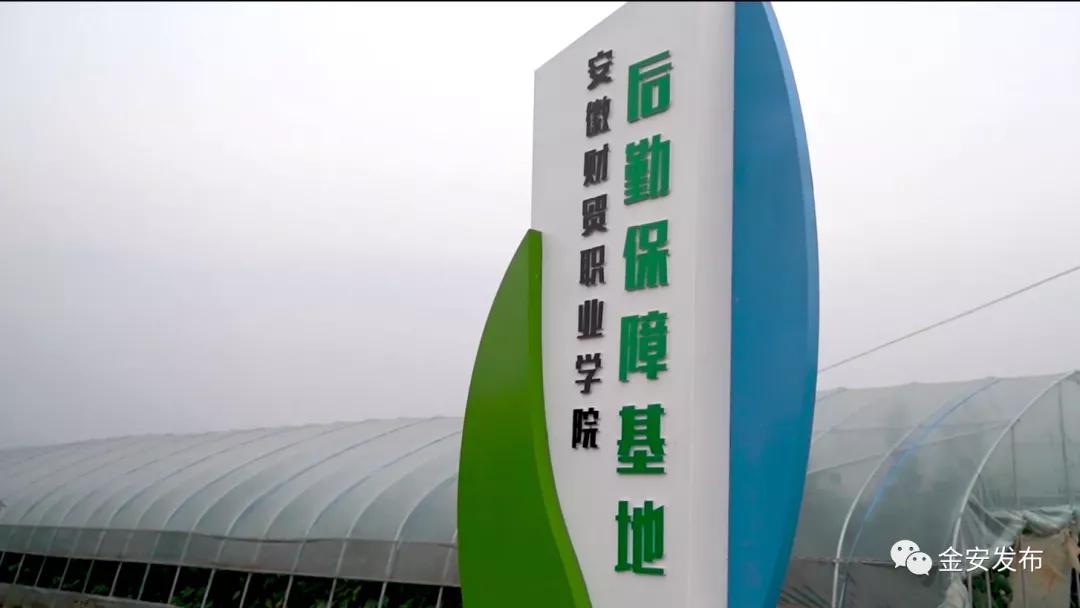 厉害了我的村视频,厉害了我的乡村