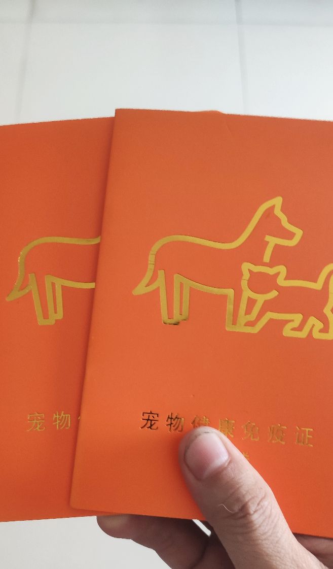 这是什么狗,狗狗横齿什么样