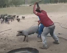 steam的钱怎么拿出来,steam怎么卖钱变现