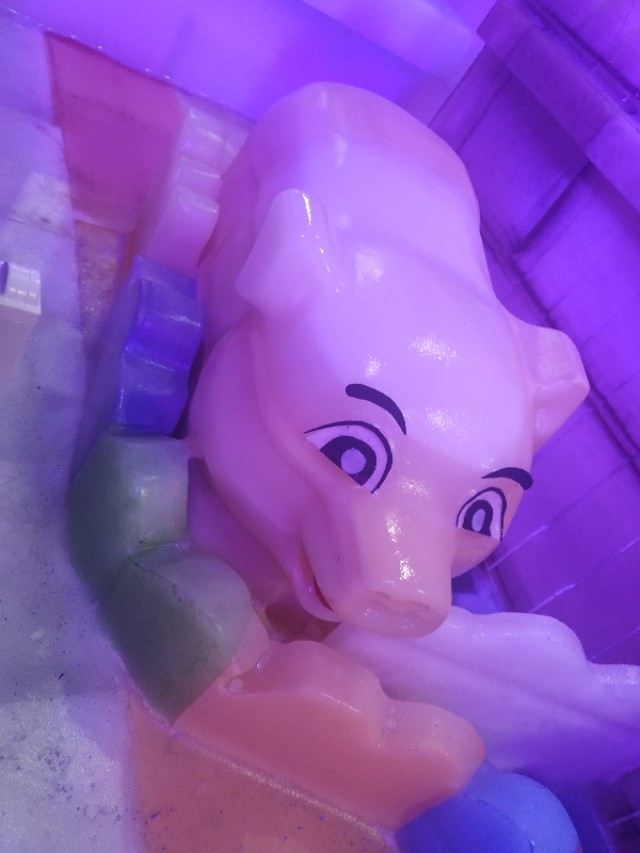 珠海神秘岛两大两小套票,珠海神秘岛乐园