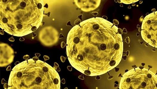 新冠肺炎免疫力,新冠肺炎患者缺乏四种益生菌