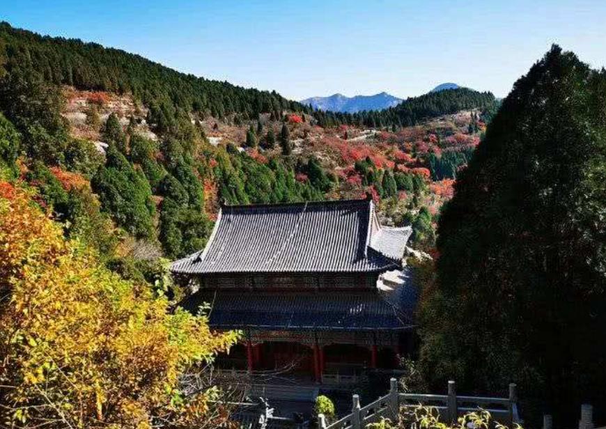 济南野生动物世界自驾游最佳攻略,济南到呼伦贝尔大草原自驾游攻略