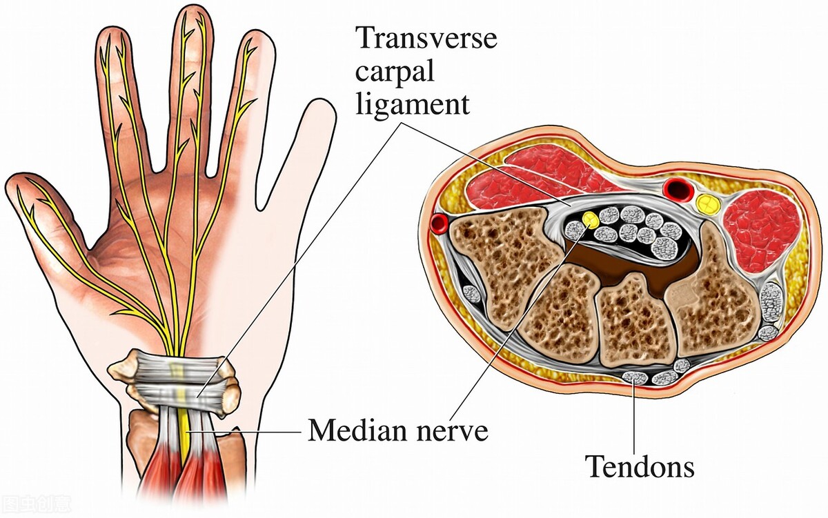 腱鞘囊肿开刀会留多大的疤,手腕腱鞘囊肿开刀的流程