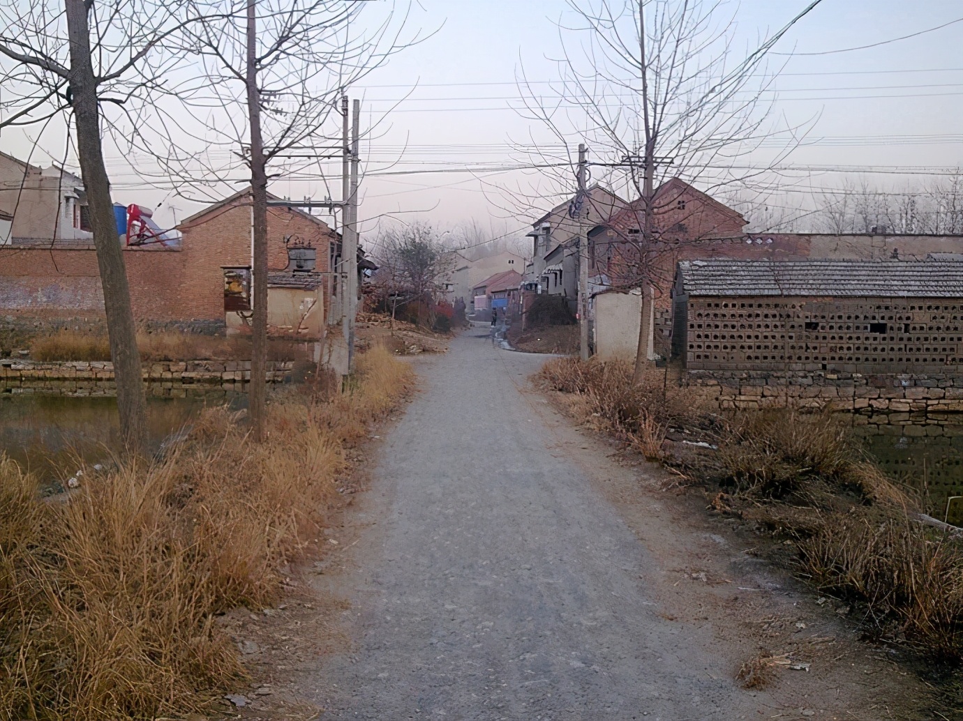 为什么城里人都喜欢农村田园生活,为什么很多人向往田园生活